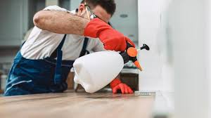 Best Pest Prevention Services  in Clintondale, NY